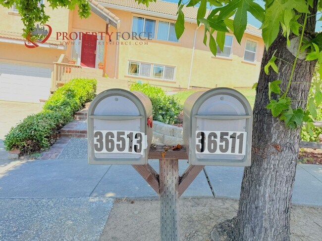 Foto del edificio - Brand New 2BR ADU w/ Most Utilities Includ...