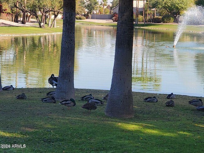 Foto del edificio - 1848 E Chilton Dr