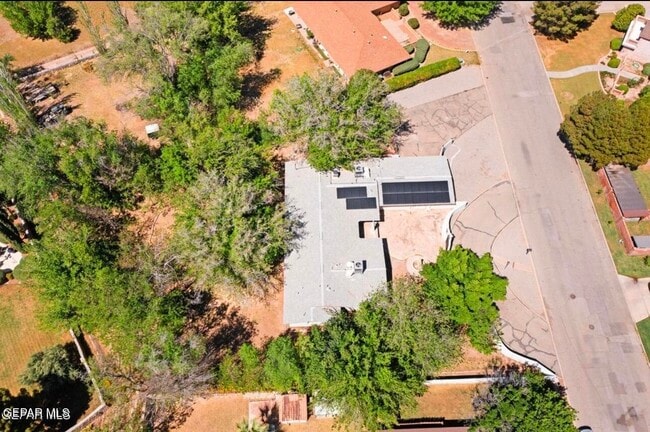 Building Photo - 5233 White Oak Dr