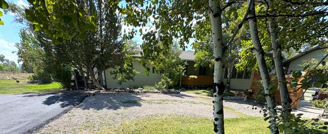 Fachada principal de la casa. ¡Muchos árboles y flores! - 2541 Blackjack Pl