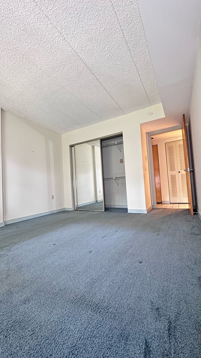Building Photo - 2105 Dolphin Ave