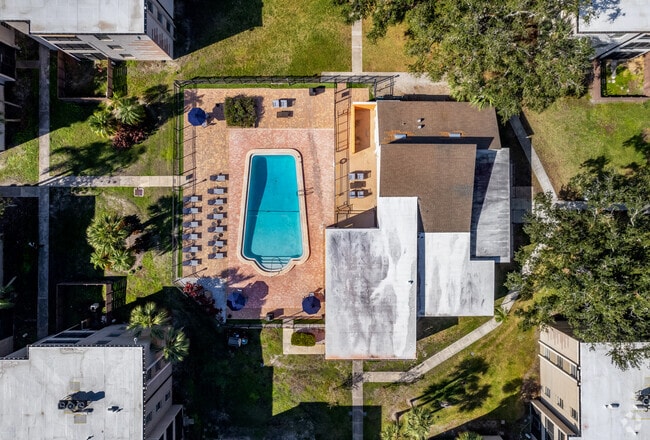 Main Pool - Milo Bayside