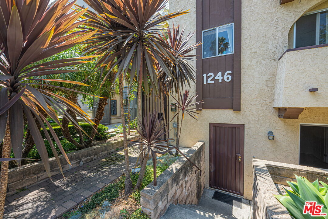 Foto principal - 1246 Euclid St