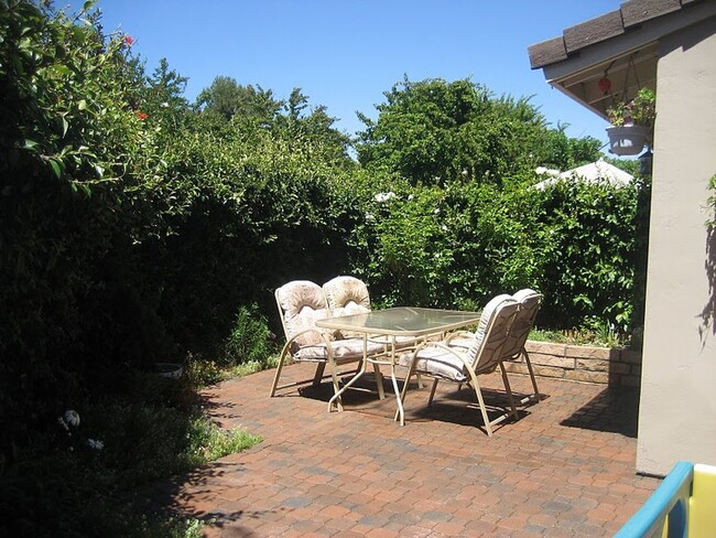 Backyard Patio - 3920 Caminito del Mar Surf