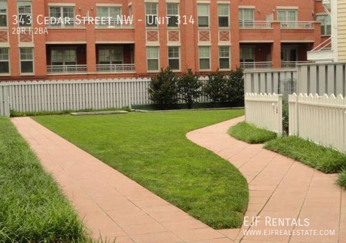 Primary Photo - Modern 2 Story 2BR 2BA in Takoma Park, Cou...