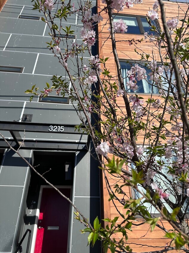 Foto principal - 3215 12th St NE