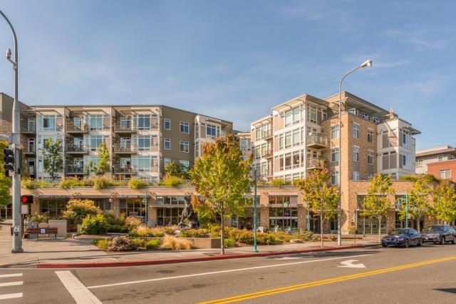 Primary Photo - 1 bedroom in Kirkland WA 98033