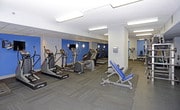 This fitness center is a single-floor facility designed to support a comprehensive workout experience. The space is laid out to accommodate a variety of exercise disciplines, with distinct zones for cardio training and strength work. Along one side, a row of cardio machines — including treadmills and elliptical trainers — offers ample options for aerobic exercise. The strength training area is well-stocked with weight racks holding barbells and a wide range of dumbbells, complemented by adjustable benches and cable equipment suitable for both beginner and advanced training.

The interior features a clean, modern aesthetic with white structural columns, a textured ceiling, and bright fluorescent lighting that ensures the space is well-lit throughout. Blue accent walls add a bold visual element, while large mirrors along the walls reflect the equipment and help users maintain proper form during exercises. The flooring transitions between carpeted and rubberized sections, each suited to the type of activity in that zone.

Ventilation grilles are positioned throughout the ceiling, contributing to air circulation across the workout floor. The overall layout is organized and open, providing users with sufficient room to move between stations comfortably. This fitness center delivers a practical and fully functional environment for daily exercise routines.
