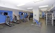 This fitness center is a single-floor facility designed to support a comprehensive workout experience. The space is laid out to accommodate a variety of exercise disciplines, with distinct zones for cardio training and strength work. Along one side, a row of cardio machines — including treadmills and elliptical trainers — offers ample options for aerobic exercise. The strength training area is well-stocked with weight racks holding barbells and a wide range of dumbbells, complemented by adjustable benches and cable equipment suitable for both beginner and advanced training.

The interior features a clean, modern aesthetic with white structural columns, a textured ceiling, and bright fluorescent lighting that ensures the space is well-lit throughout. Blue accent walls add a bold visual element, while large mirrors along the walls reflect the equipment and help users maintain proper form during exercises. The flooring transitions between carpeted and rubberized sections, each suited to the type of activity in that zone.

Ventilation grilles are positioned throughout the ceiling, contributing to air circulation across the workout floor. The overall layout is organized and open, providing users with sufficient room to move between stations comfortably. This fitness center delivers a practical and fully functional environment for daily exercise routines.