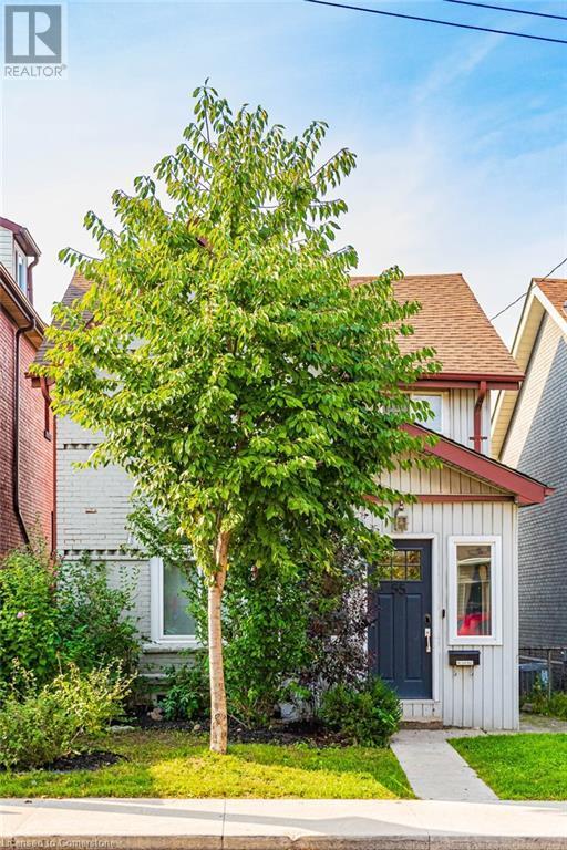 Building Photo - 55 Cheever St