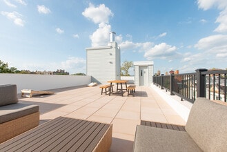 Hightop Spruce Square photo'