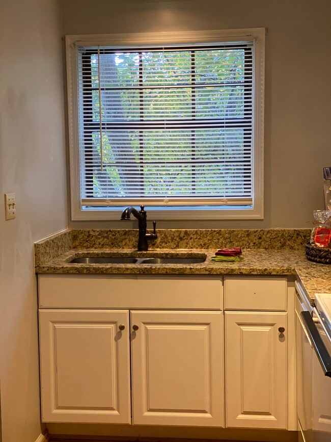 Kitchen sink and window - 105 Fidelity St