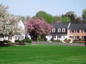 Primary Photo - Village of Rivermoor