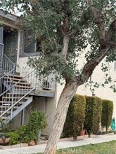 Building Photo - 10726 Oak St