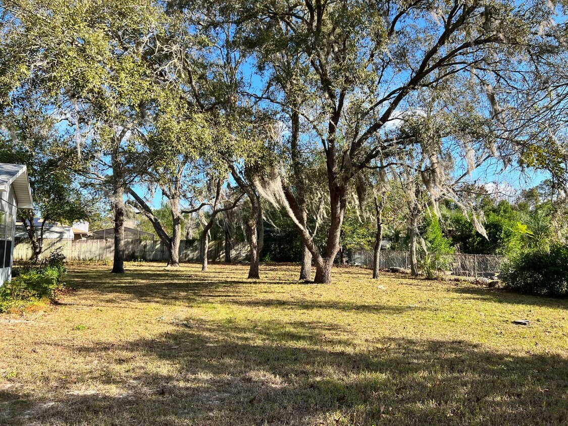 1386 Findlay Ave, Spring Hill, FL 34609 House Rental in Spring Hill, FL