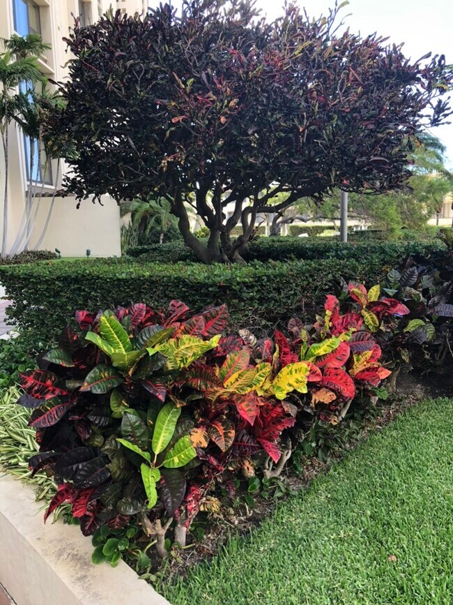 Foto del edificio - 1600 Ala Moana Blvd