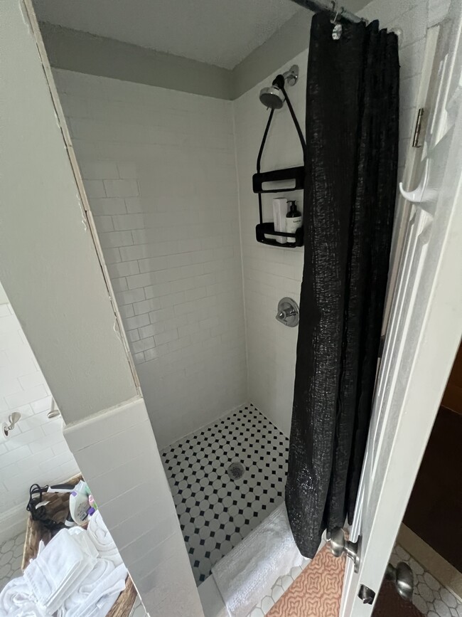 Shower - 214 W 123rd St