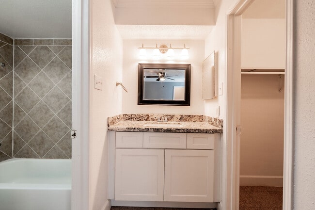 Building Photo - The Palms at Memorial Apartments