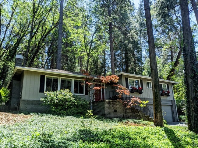 Building Photo - 11279 Marjon Dr