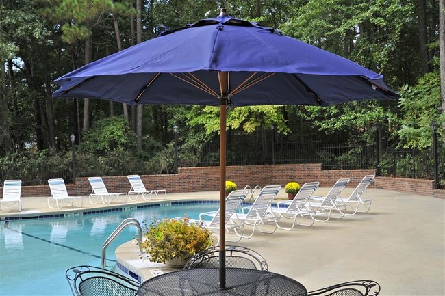 Poolside Lounge Area - Brook Pines