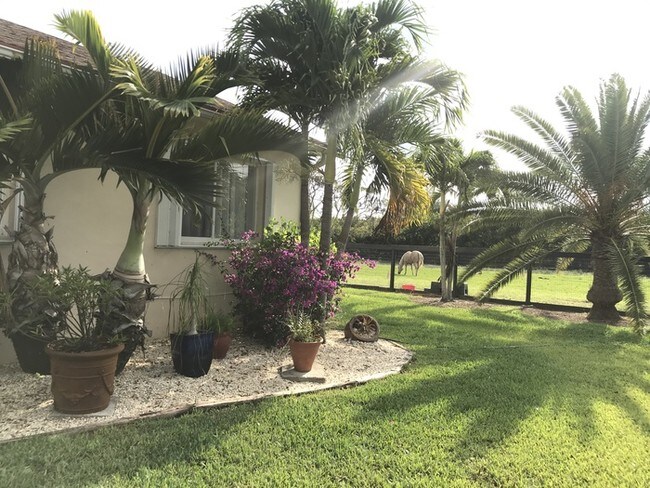 Foto del edificio - Equine property redlands fully furnished!