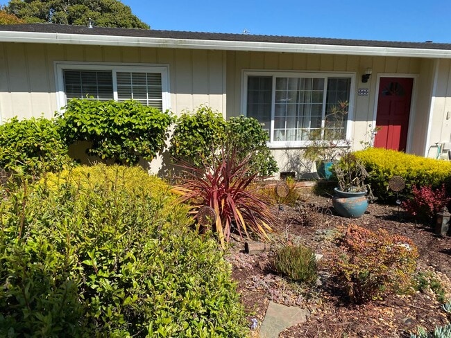 Building Photo - Beautiful Pacific Grove Home