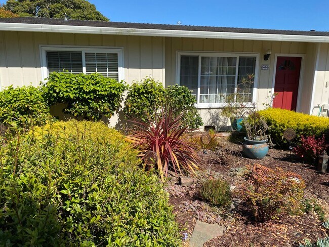 Foto del edificio - Beautiful Pacific Grove Home