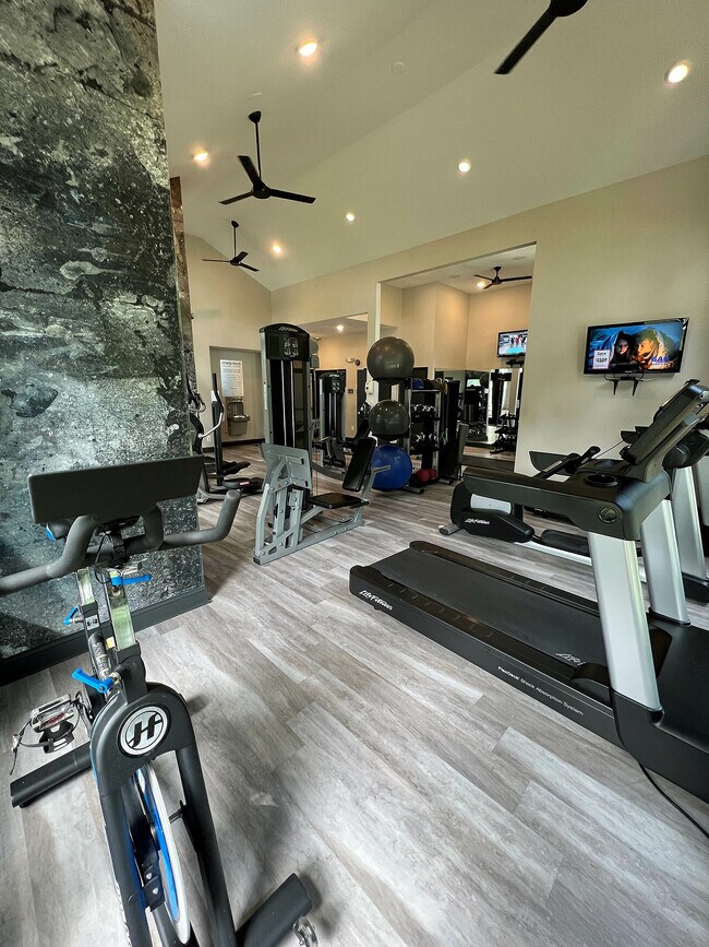 Gimnasio 1 (1) - Clarys Crossing