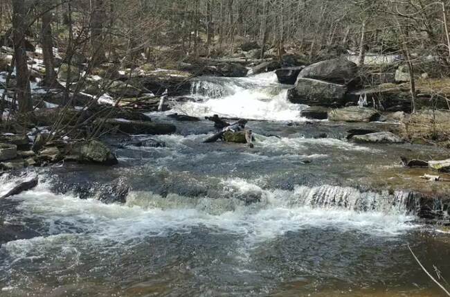 Foto del edificio - 60 Ruth Way Rd