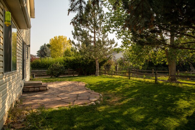 Back Yard - 1143 Trout Creek Circle