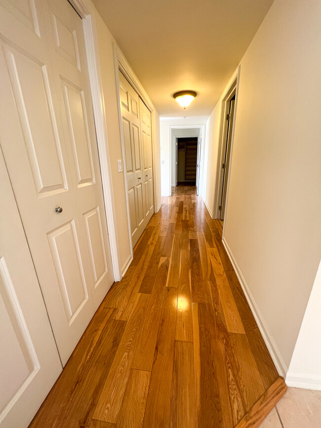 Foto del edificio - 30 Nugent St