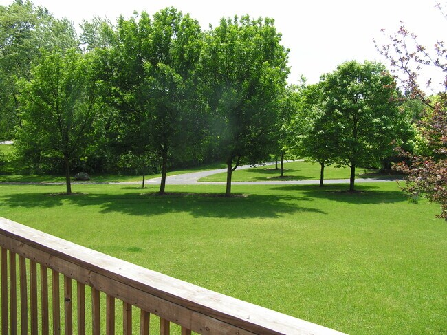 Patio trasero - 6355 Valley Stream Dr