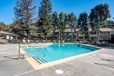 Located at 1543 Ambergrove Dr in San Jose, California, this generously sized outdoor amenity area offers a well-appointed recreational environment for its community. The centerpiece of the space is a large, irregularly shaped swimming pool with clear turquoise water, complemented by a separate spa/hot tub for relaxation. The expansive concrete pool deck provides ample room for lounging, furnished with multiple chaise lounge chairs and outdoor table-and-chair sets, ideal for sunbathing or casual gatherings. A dedicated clubhouse building sits adjacent to the pool area, featuring a covered entrance and direct pool access. The entire space is enclosed by a secure wrought iron fence with gated entry, ensuring privacy and safety. Mature trees — including tall pines and deciduous varieties — line the perimeter, providing natural shade and a pleasant, park-like atmosphere. Decorative red planters with greenery add visual interest throughout the deck. Surrounding multi-story residential buildings frame the space, offering a sense of community. The area benefits from abundant natural sunlight, making it a bright and inviting outdoor retreat. This well-maintained pool complex reflects the character of a thoughtfully designed residential community amenity in the heart of San Jose's North Valley.