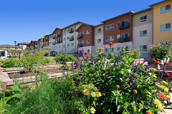 Building Photo - Affinity at Southpark Meadows 55+ Building Photo - Affinity at Southpark Meadows 55+