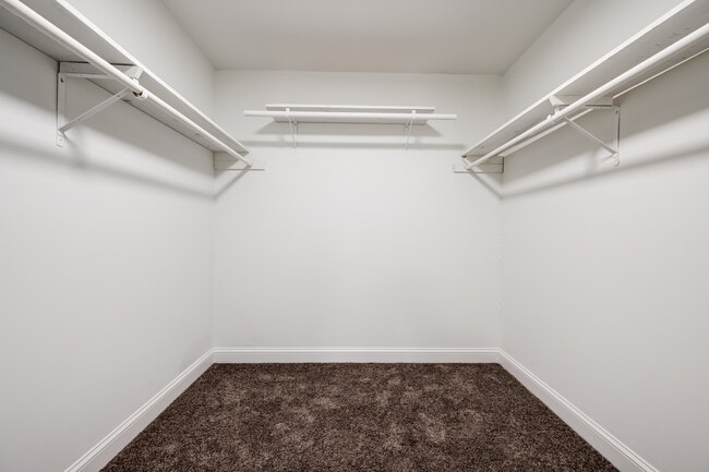 Walk in closet - 18 Signor St