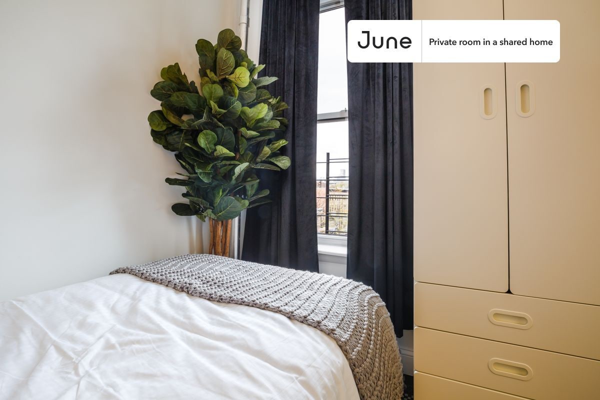 Room in Shared 3 bed/1 bath home - Room in Shared 3 bed/1 bath home