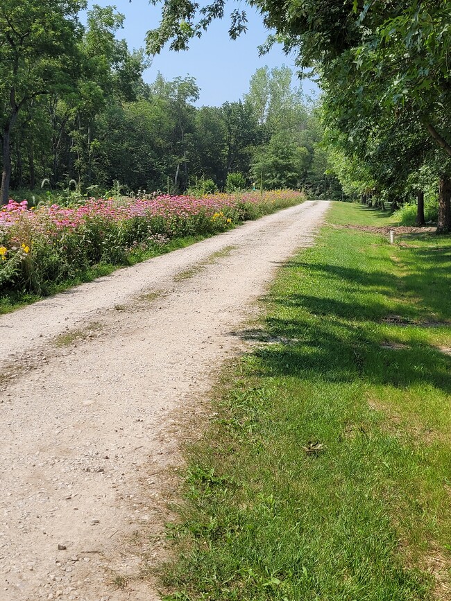 Lane to house - 801 Main St