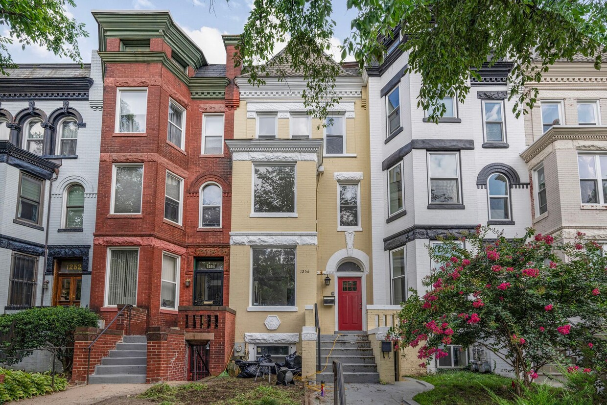 Primary Photo - Available Now! Massive, Recently Renovated...