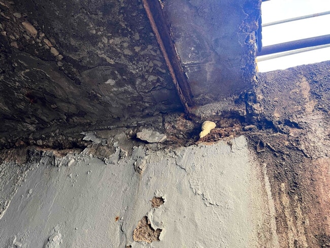 Building Photo - 156 Asbury Ave