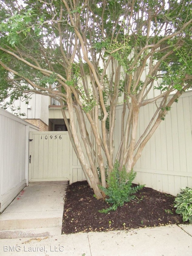 Foto principal - 10956 Trotting Ridge Way