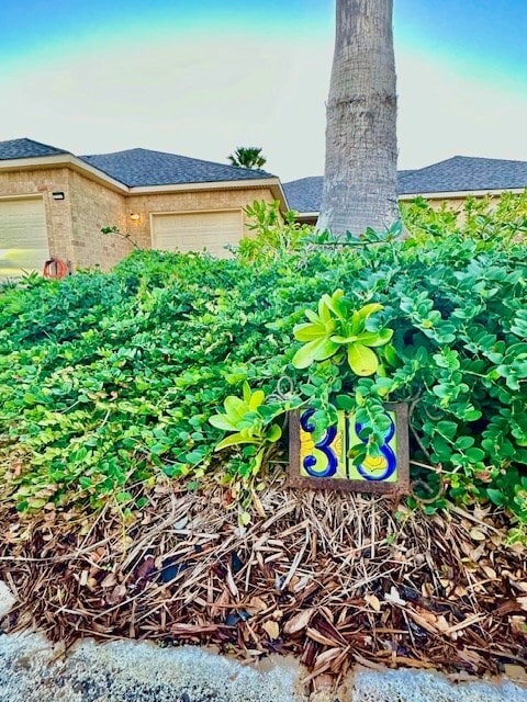 Building Photo - 38 Torrey Pines Dr