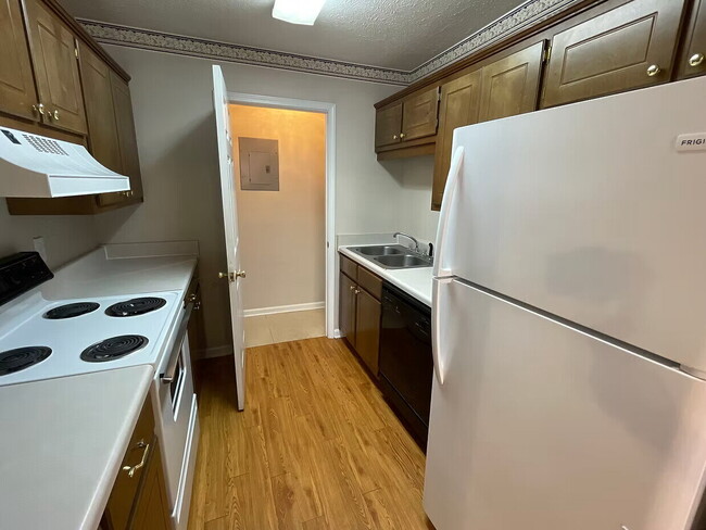 Foto del edificio - Cotton District 1BR | Bike to MSU | JUNE 6th, 2026 Move-In