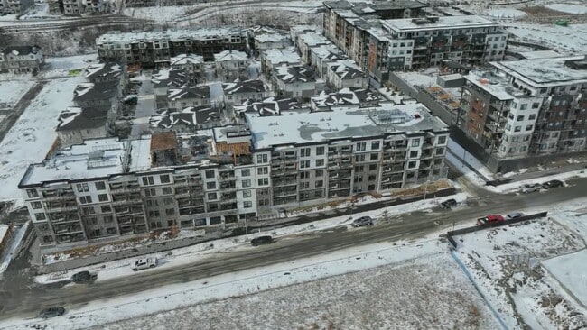  - Balsam in Aspen Spring