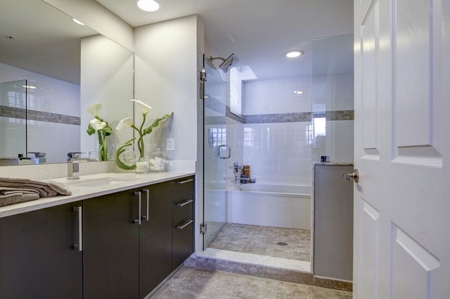 Sofia Coral Gables apartments — community photo - Sofia Coral Gables