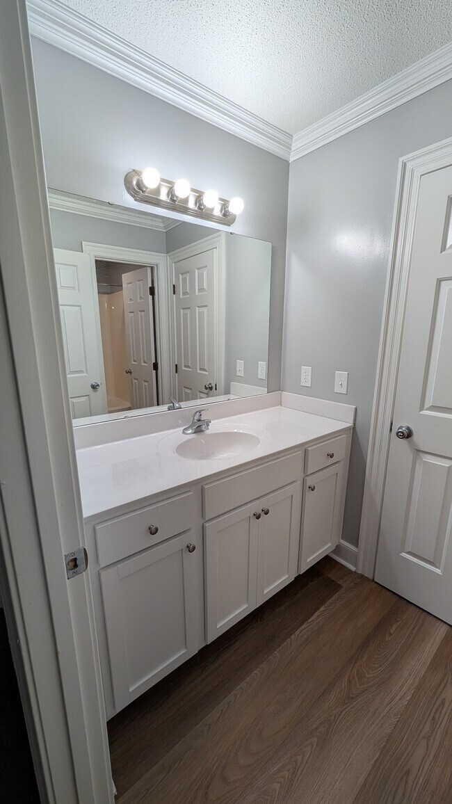 baño de invitados - 805 Spring Ln