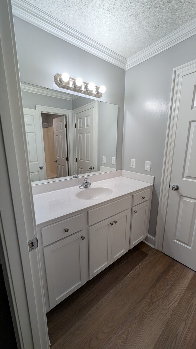 guest bath - 805 Spring Ln