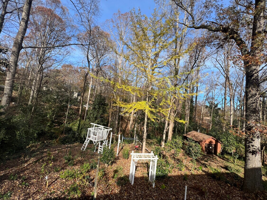 107 Brookwood Dr, Clemson, SC 29631 House Rental in Clemson, SC