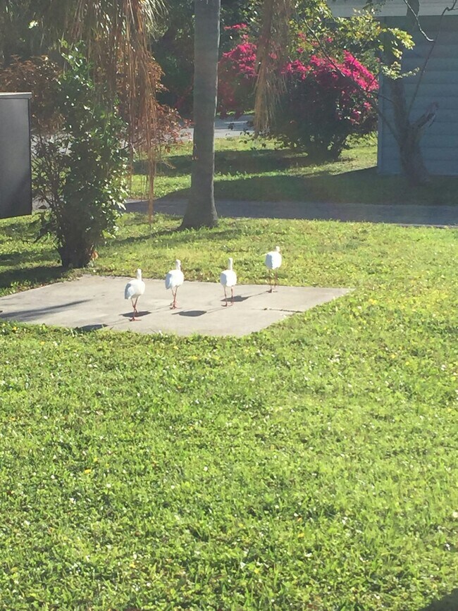 Building Photo - 10464 106th Ave N