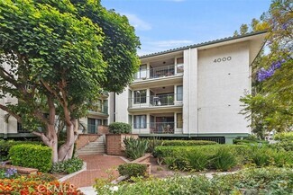 Building Photo - 4313 Apricot Dr