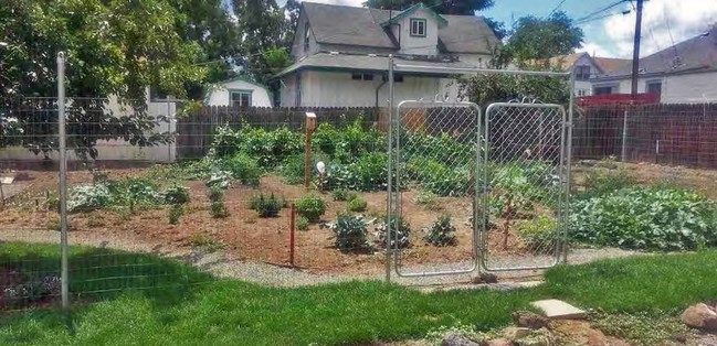 Garden - 315 3rd St